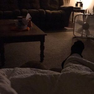 Meet your Posher, Kathy